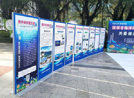 武胜KT板的种类和知识。